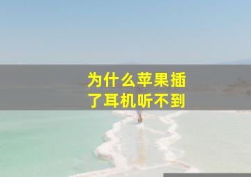 为什么苹果插了耳机听不到