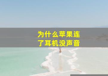 为什么苹果连了耳机没声音