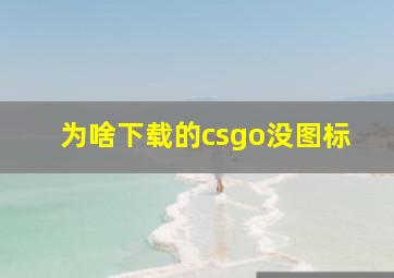 为啥下载的csgo没图标