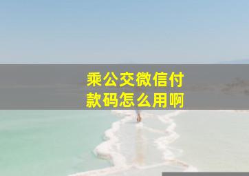 乘公交微信付款码怎么用啊