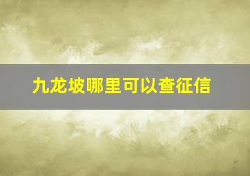 九龙坡哪里可以查征信