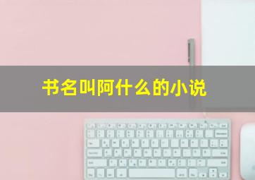 书名叫阿什么的小说