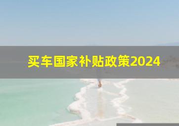 买车国家补贴政策2024