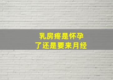 乳房疼是怀孕了还是要来月经