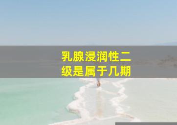 乳腺浸润性二级是属于几期