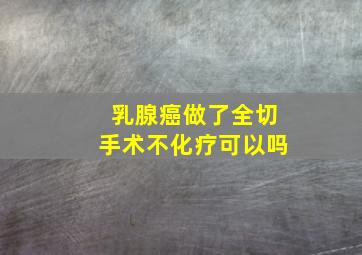 乳腺癌做了全切手术不化疗可以吗