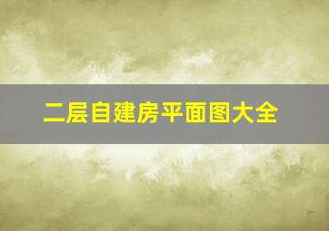 二层自建房平面图大全