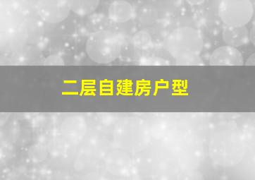 二层自建房户型