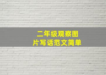 二年级观察图片写话范文简单