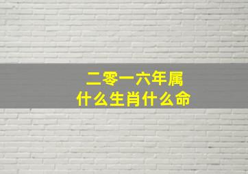 二零一六年属什么生肖什么命