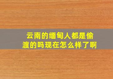 云南的缅甸人都是偷渡的吗现在怎么样了啊