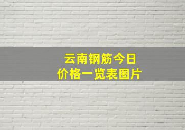 云南钢筋今日价格一览表图片