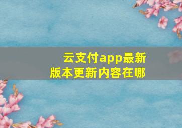 云支付app最新版本更新内容在哪