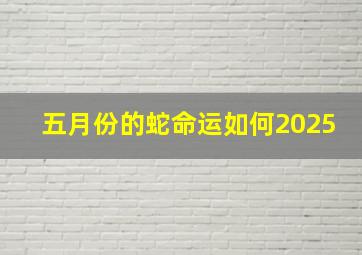 五月份的蛇命运如何2025