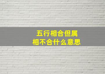 五行相合但属相不合什么意思