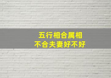 五行相合属相不合夫妻好不好