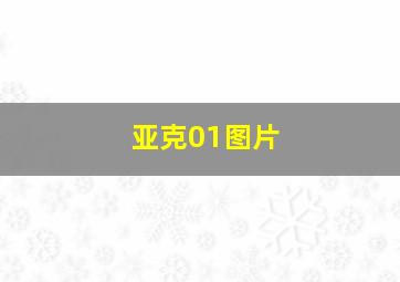 亚克01图片