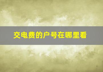 交电费的户号在哪里看