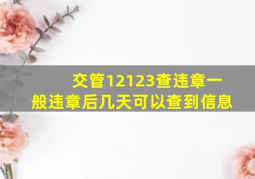 交管12123查违章一般违章后几天可以查到信息