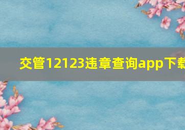 交管12123违章查询app下载