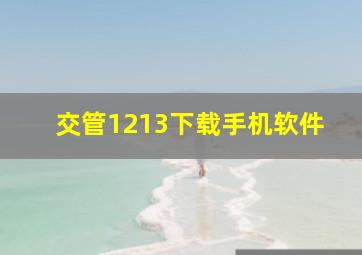 交管1213下载手机软件