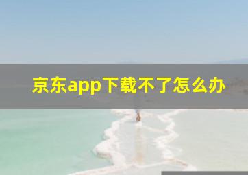 京东app下载不了怎么办