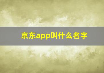 京东app叫什么名字