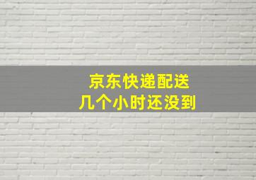 京东快递配送几个小时还没到