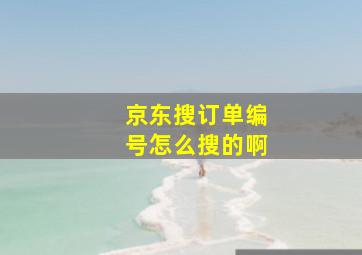 京东搜订单编号怎么搜的啊