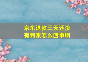 京东退款三天还没有到账怎么回事啊