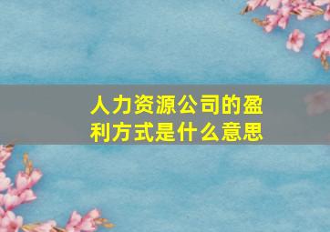 人力资源公司的盈利方式是什么意思