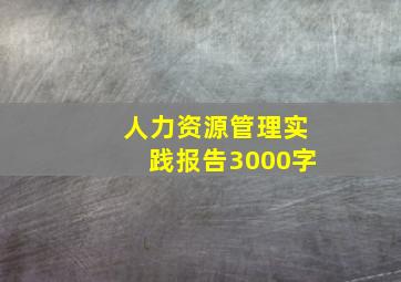 人力资源管理实践报告3000字