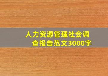 人力资源管理社会调查报告范文3000字