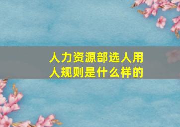 人力资源部选人用人规则是什么样的