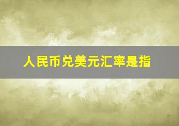 人民币兑美元汇率是指