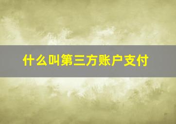 什么叫第三方账户支付