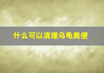 什么可以清理乌龟粪便