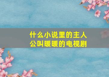 什么小说里的主人公叫暖暖的电视剧