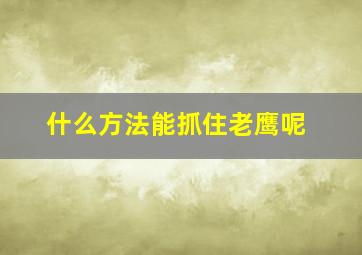 什么方法能抓住老鹰呢