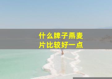 什么牌子燕麦片比较好一点