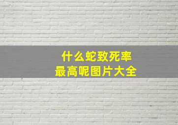 什么蛇致死率最高呢图片大全