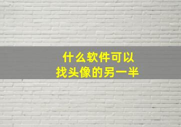 什么软件可以找头像的另一半