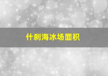 什刹海冰场面积