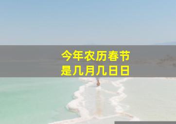 今年农历春节是几月几日日