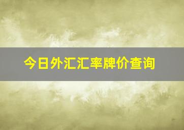 今日外汇汇率牌价查询