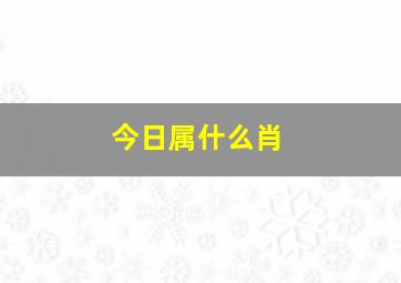 今日属什么肖