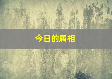 今日的属相