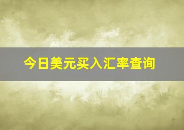 今日美元买入汇率查询