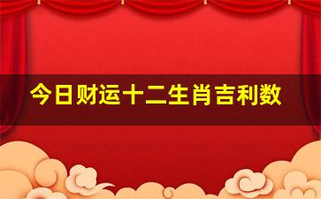 今日财运十二生肖吉利数