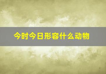 今时今日形容什么动物